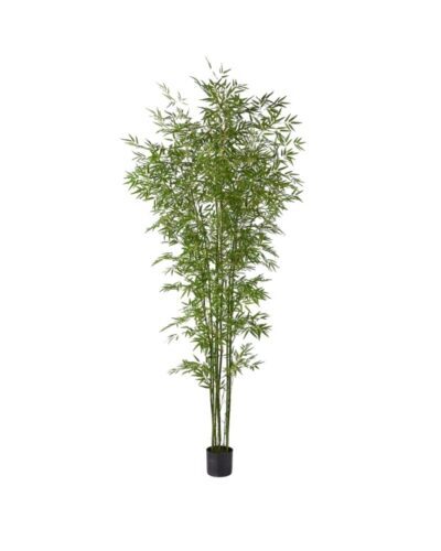 Bambu Zen